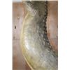 Image 7 : *Real Skin* Over 12' Long Life-sized "Swimming" CROCODILE on a Decorative Base with Wheels