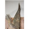 Image 9 : *Real Skin* Over 12' Long Life-sized "Swimming" CROCODILE on a Decorative Base with Wheels