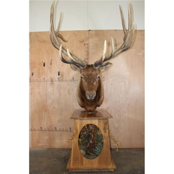 XXL 12-Point ELK Pedestal Mount