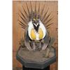Image 1 : GREATER SAGE-GROUSE on a Decorative Base