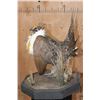 Image 8 : GREATER SAGE-GROUSE on a Decorative Base