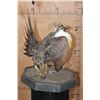 Image 9 : GREATER SAGE-GROUSE on a Decorative Base