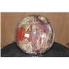 Image 1 : Big Arizona Rainbow PETRIFIED WOOD Sphere, Weight: 12 lbs