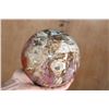 Image 2 : Big Arizona Rainbow PETRIFIED WOOD Sphere, Weight: 12 lbs
