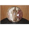 Image 4 : Big Arizona Rainbow PETRIFIED WOOD Sphere, Weight: 12 lbs