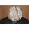 Image 5 : Big Arizona Rainbow PETRIFIED WOOD Sphere, Weight: 12 lbs
