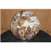 Image 7 : Big Arizona Rainbow PETRIFIED WOOD Sphere, Weight: 12 lbs