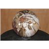 Image 8 : Big Arizona Rainbow PETRIFIED WOOD Sphere, Weight: 12 lbs