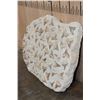 Image 11 : 60 Fossilized OTODUS (Prehistoric Mackerel Shark) Teeth in a Rock Matrix, Weight: 36 lbs