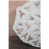 Image 4 : 60 Fossilized OTODUS (Prehistoric Mackerel Shark) Teeth in a Rock Matrix, Weight: 36 lbs