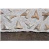 Image 7 : 60 Fossilized OTODUS (Prehistoric Mackerel Shark) Teeth in a Rock Matrix, Weight: 36 lbs