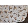 Image 9 : 60 Fossilized OTODUS (Prehistoric Mackerel Shark) Teeth in a Rock Matrix, Weight: 36 lbs