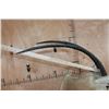 Image 7 : *TEXAS RESIDENTS ONLY* SCIMITAR HORNED ORYX Shoulder Mount