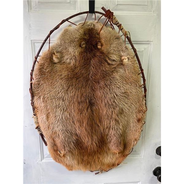 *New* Native American Style BEAVER Hide in a Willow Hoop