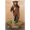 Image 2 : XXL Life-sized Standing Cinnamon Phase BLACK BEAR on a Wood Base