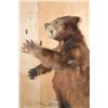Image 4 : XXL Life-sized Standing Cinnamon Phase BLACK BEAR on a Wood Base