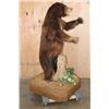 Image 7 : XXL Life-sized Standing Cinnamon Phase BLACK BEAR on a Wood Base