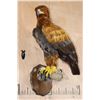 Image 1 : "Lady Justice" Reproduction GOLDEN EAGLE on a Branch Perch and Wood Plaque