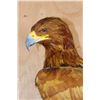 Image 5 : "Lady Justice" Reproduction GOLDEN EAGLE on a Branch Perch and Wood Plaque