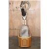 Image 3 : Life-sized MOUFLON on a Wood and Rock Base with Wheels