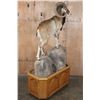 Image 7 : Life-sized MOUFLON on a Wood and Rock Base with Wheels