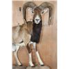 Image 8 : Life-sized MOUFLON on a Wood and Rock Base with Wheels
