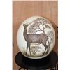 Image 2 : Scrimshawed OSTRICH EGG  by African artist "J. Nkosi" displayed on a Metal Stand