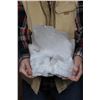 Image 9 : XXL Natural Arkansas CLEAR QUARTZ CRYSTAL Specimen, Weight: 8 lbs