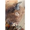 Image 8 : XXL Half-body BUFFALO or BISON Mount with BIG Reproduction Horns