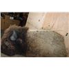 Image 9 : XXL Half-body BUFFALO or BISON Mount with BIG Reproduction Horns
