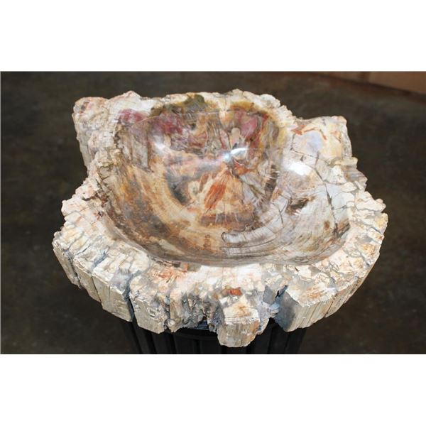 XL Polished PETRIFIED WOOD Bowl or Basin from a Single Stump, Weight: 32 lbs