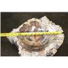 Image 2 : XL Polished PETRIFIED WOOD Bowl or Basin from a Single Stump, Weight: 32 lbs
