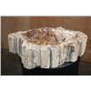 Image 3 : XL Polished PETRIFIED WOOD Bowl or Basin from a Single Stump, Weight: 32 lbs