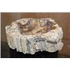 Image 6 : XL Polished PETRIFIED WOOD Bowl or Basin from a Single Stump, Weight: 32 lbs