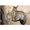 Image 1 : Big URASIAN EAGLE OWL on a Wood Perch and Plaque