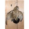 Image 2 : Big URASIAN EAGLE OWL on a Wood Perch and Plaque