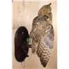 Image 3 : Big URASIAN EAGLE OWL on a Wood Perch and Plaque