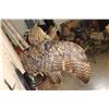 Image 4 : Big URASIAN EAGLE OWL on a Wood Perch and Plaque