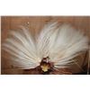Image 10 : BIRD OF PARADISE Perched on a Wood Log and Plaque