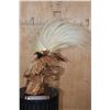 Image 3 : BIRD OF PARADISE Perched on a Wood Log and Plaque