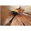Image 4 : BIRD OF PARADISE Perched on a Wood Log and Plaque