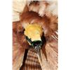 Image 6 : BIRD OF PARADISE Perched on a Wood Log and Plaque