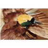 Image 7 : BIRD OF PARADISE Perched on a Wood Log and Plaque