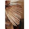 Image 9 : BIRD OF PARADISE Perched on a Wood Log and Plaque
