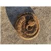 Image 3 : *Real Skin* Life-sized Coiled RATTLESNAKE with 6 Rattles