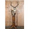 Image 1 : 8-Point MULE DEER Pedestal Mount