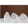 Image 7 : XL Natural Arkansas CLEAR QUARTZ Cluster on GREEN CHLORITE Specimen, Weight: 20 lbs