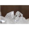 Image 8 : XL Natural Arkansas CLEAR QUARTZ Cluster on GREEN CHLORITE Specimen, Weight: 20 lbs
