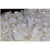 Image 9 : XL Natural Arkansas CLEAR QUARTZ Cluster on GREEN CHLORITE Specimen, Weight: 20 lbs