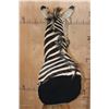 Image 12 : ZEBRA Pedestal Mount with ZEBRA Hide Panels